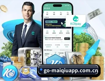 买球官网 APP